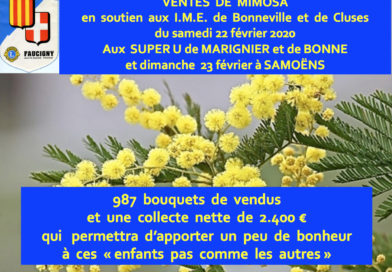 Vente de mimosa le 22 février à Super-U de Bonne et Super U de Marignier et le 23 février à Samoëns